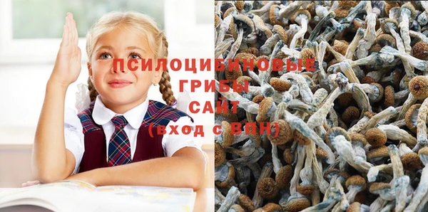 мефедрон Абаза