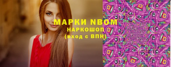 МДПВ Алзамай