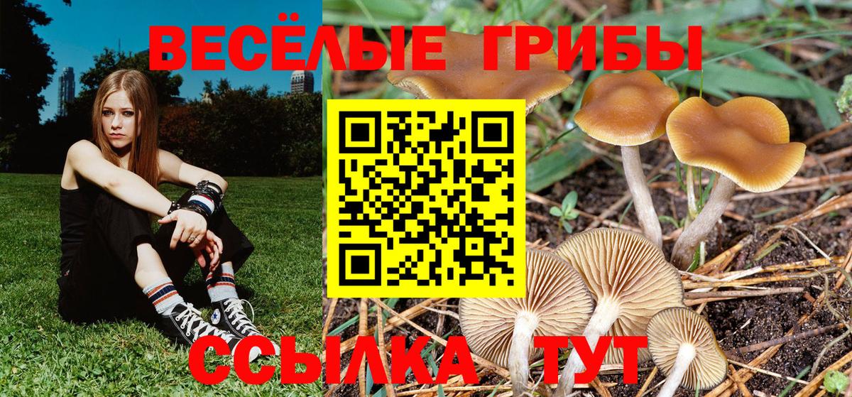 Галлюциногенные грибы мухоморы  Вход с VPN  закладка  Карпинск 
